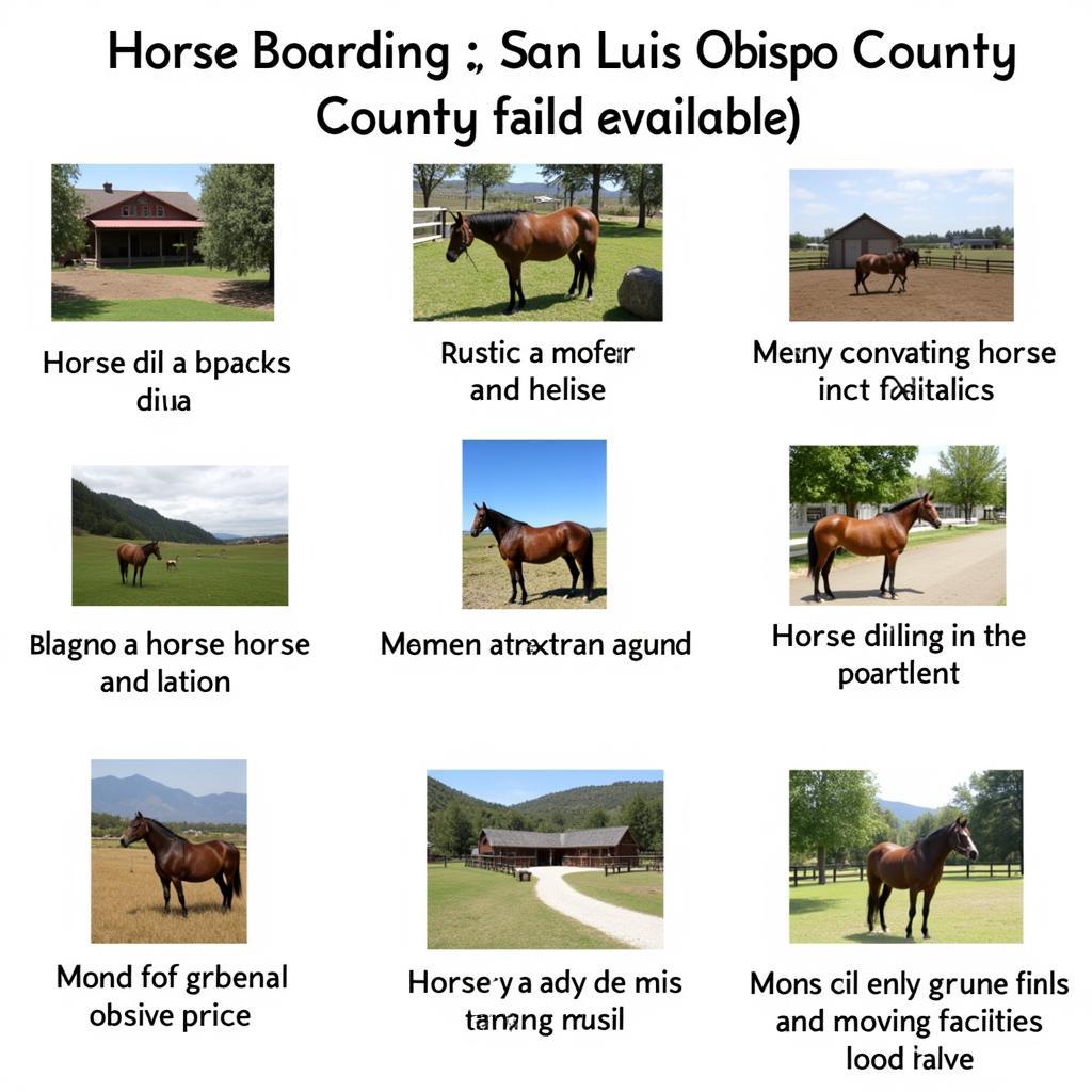 Horse Boarding Facilities in San Luis Obispo