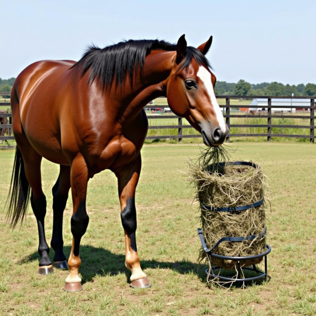 Horse using a slow feed hay holder in a paddock