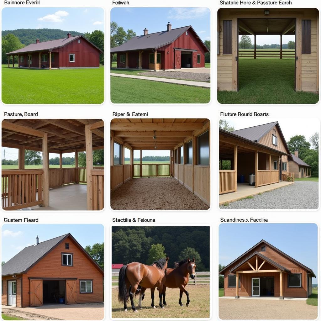 Types of Horse Boarding Barns