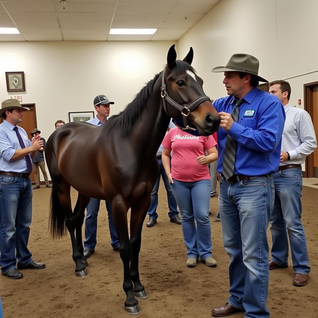 Veterinarian examining a horse at a Lumberton horse auction