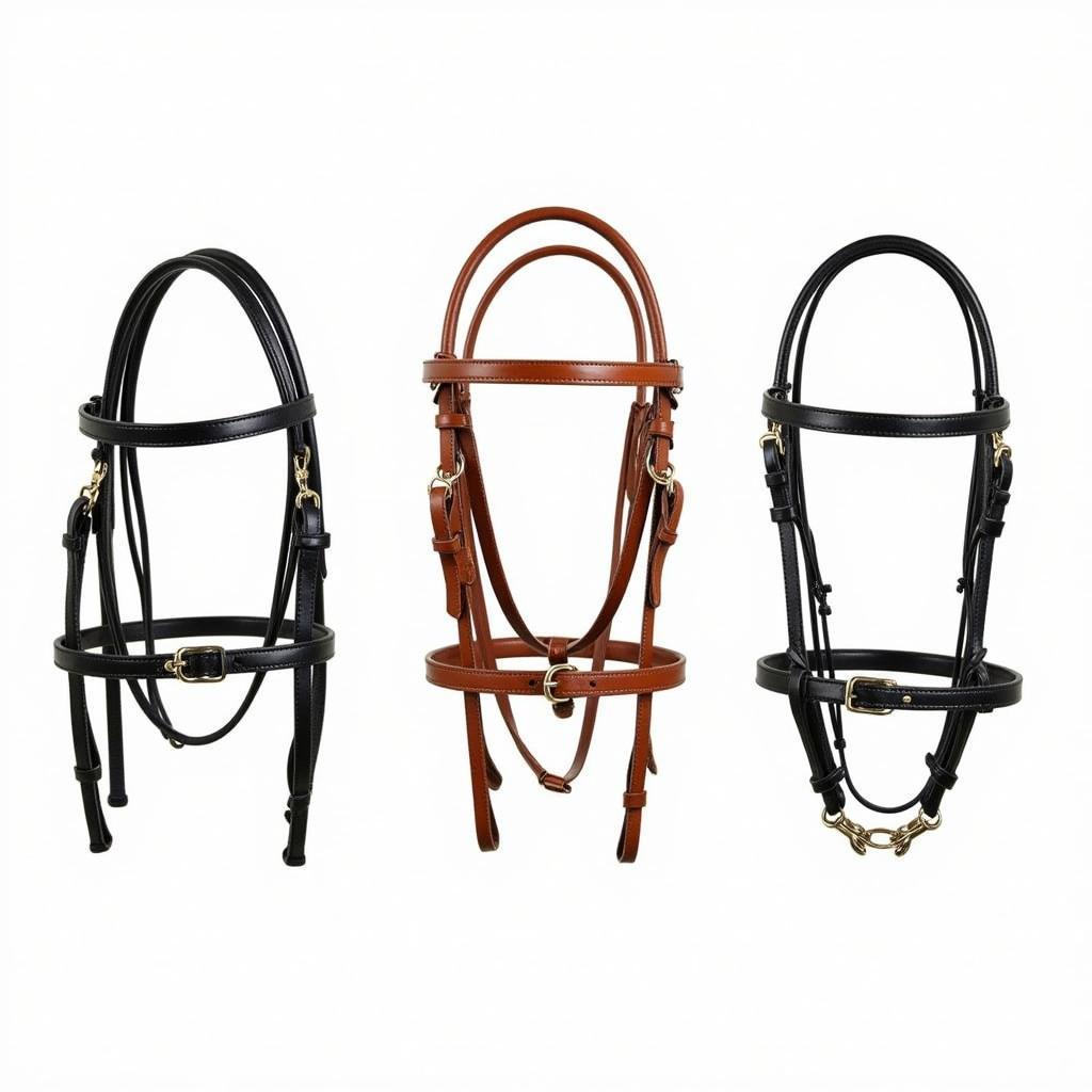 Different Walking Horse Bridle Types