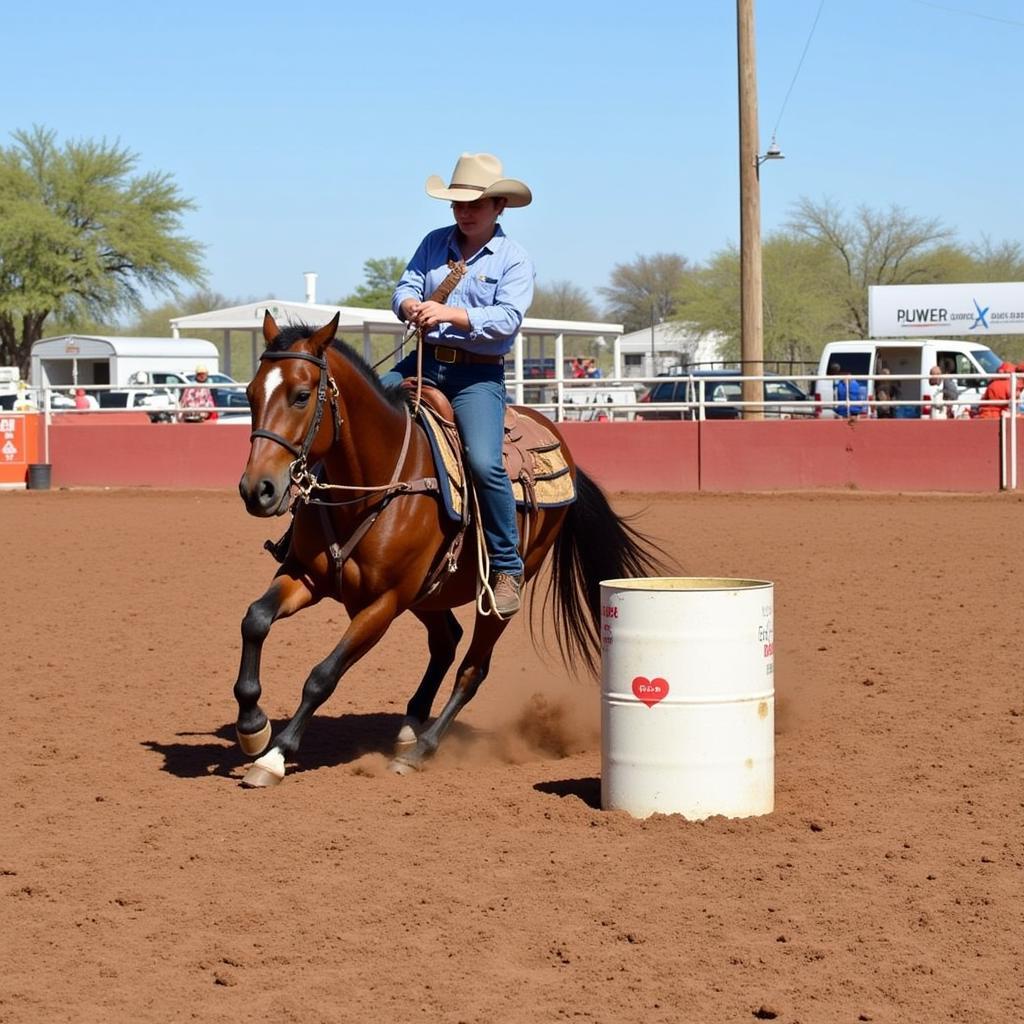 Barrel Horse and Rider in Arizona Arena