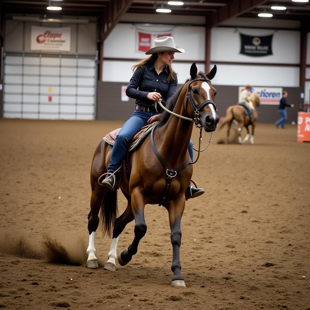 Barrel Horse Training Wisconsin