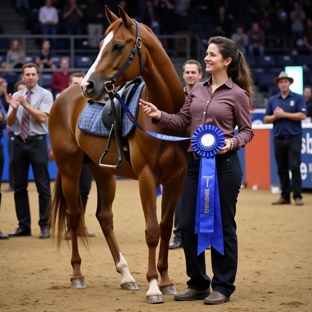 Bay Horse Winning Show Ribbon