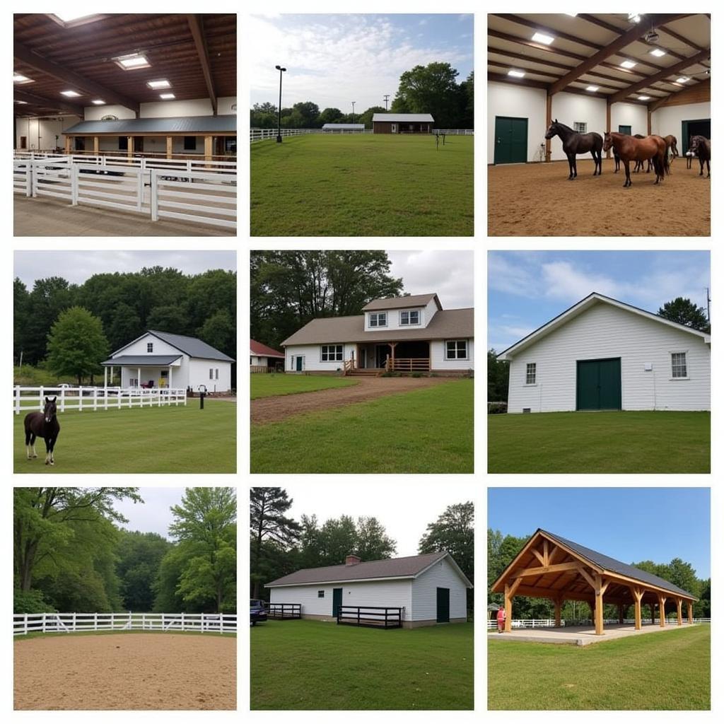 Various Horse Boarding Facilities in Boston