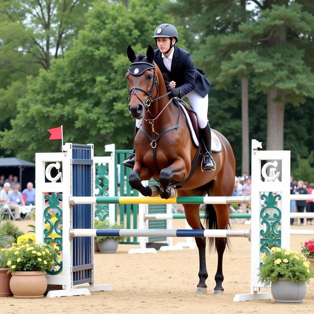 C Horse Show Jumping