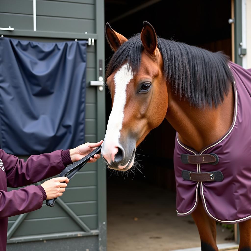 Thoughtful Christmas Presents for Horse Care