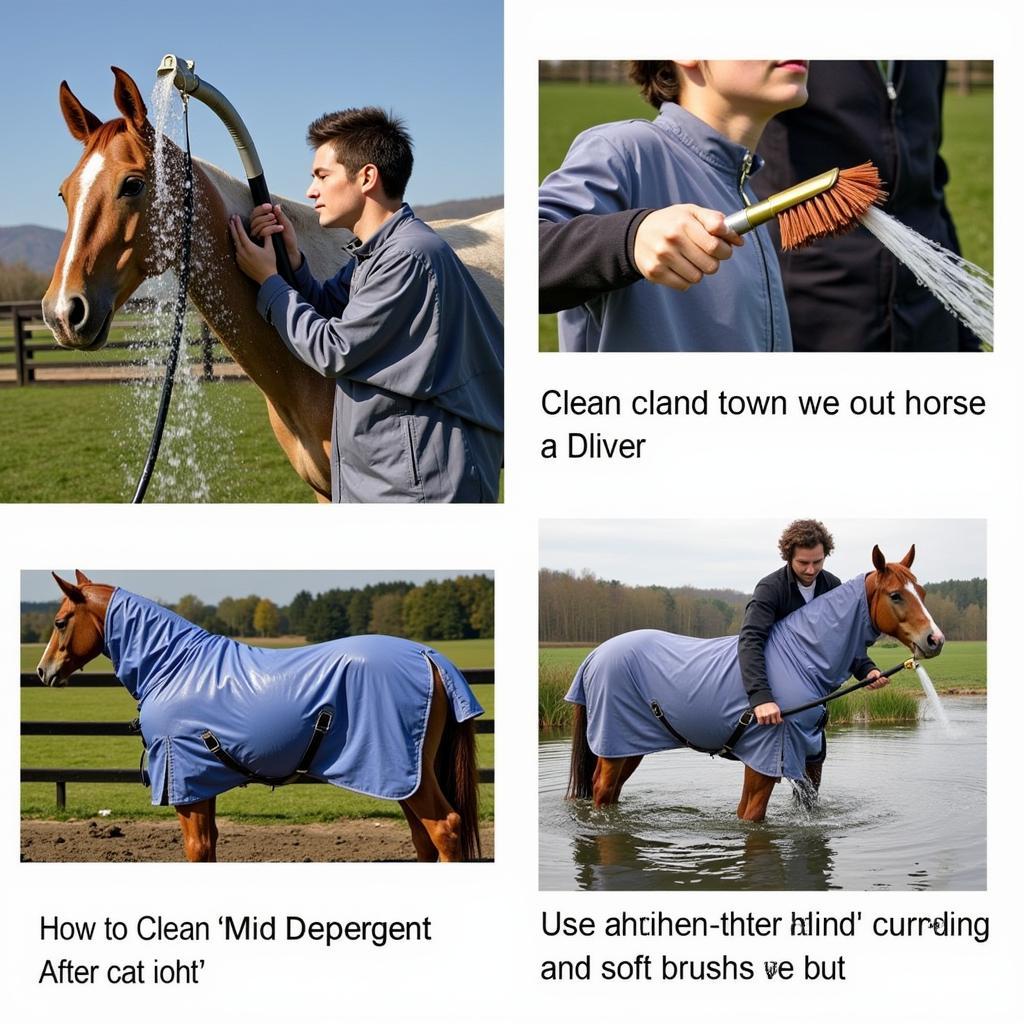 Cleaning a horse rain coat