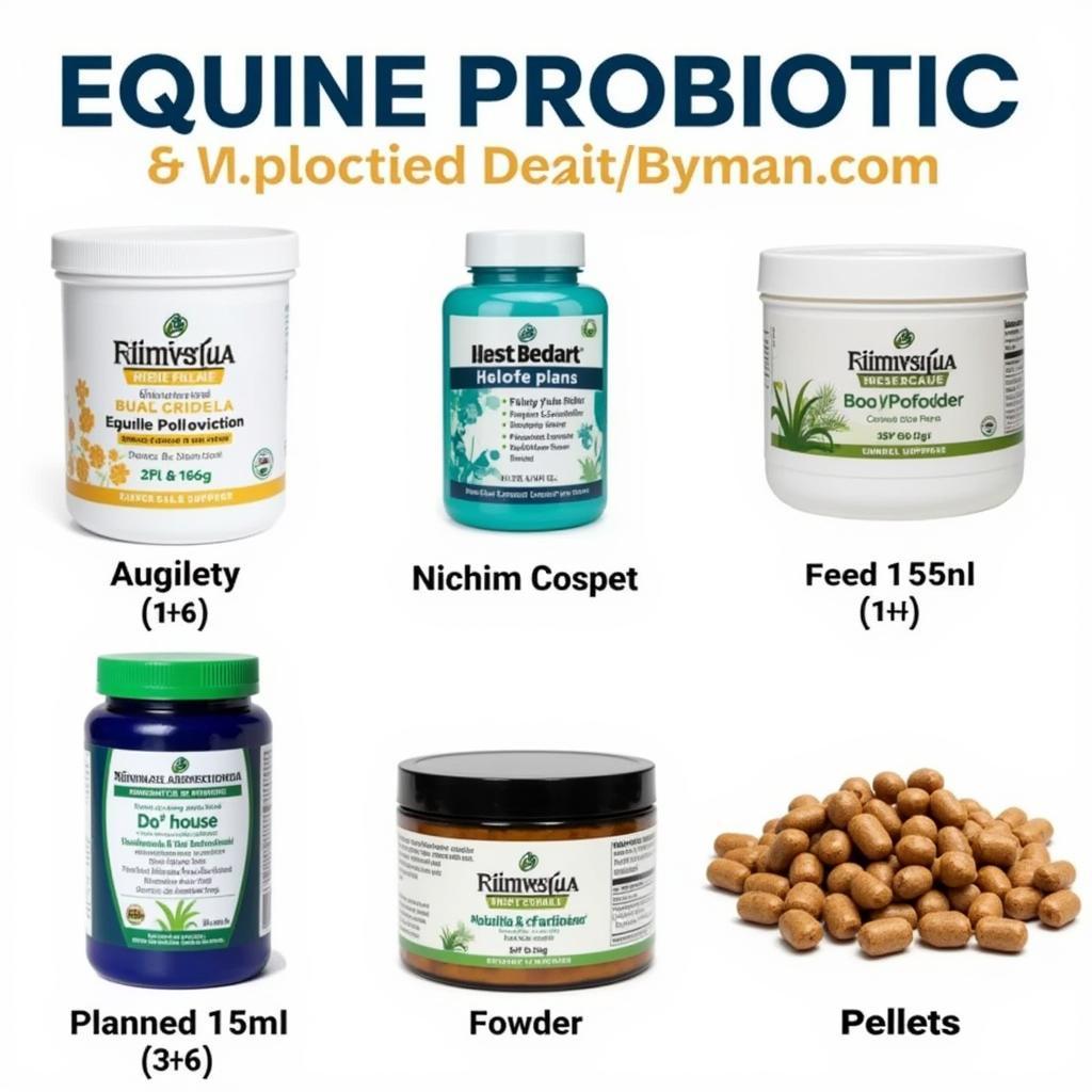 Comparing different probiotic supplements for horses