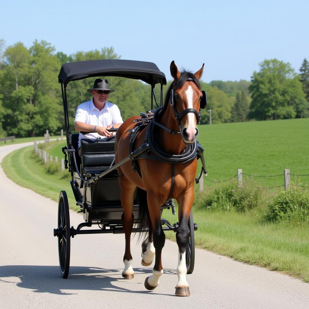 Confederation Horse Driving - A Confederation Horse elegantly pulling a carriage through a picturesque Canadian landscape.