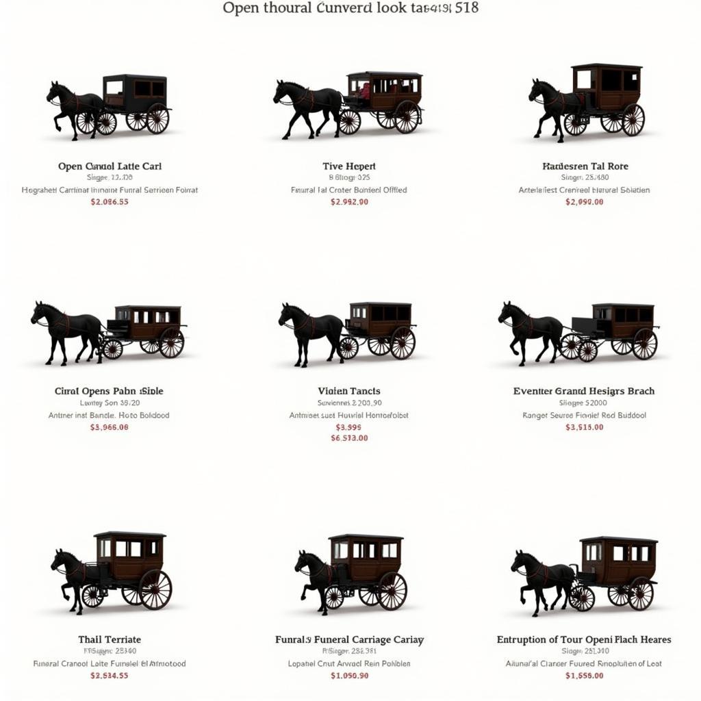 Different types of horse-drawn funeral carriages and their associated costs.