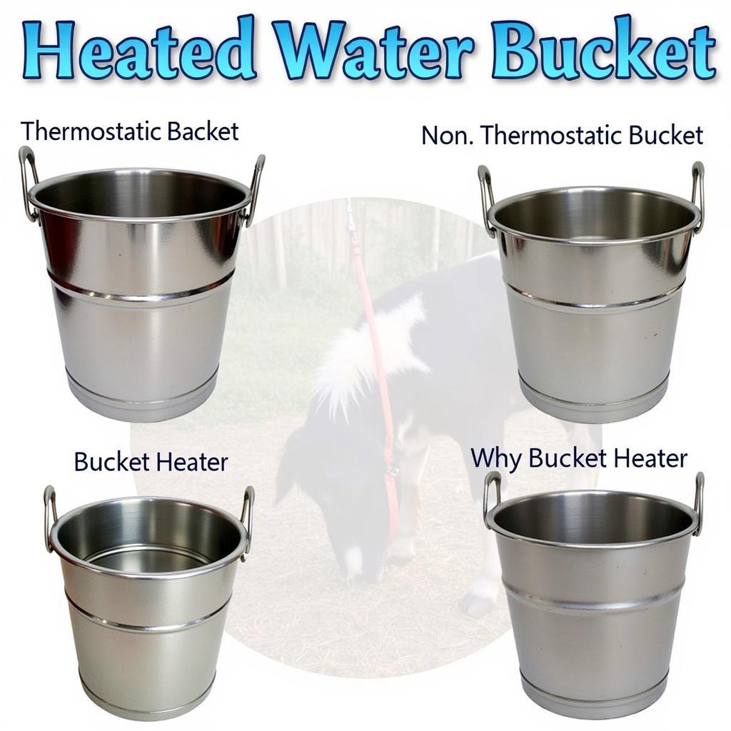 Different Types of Heated Water Buckets for Horses