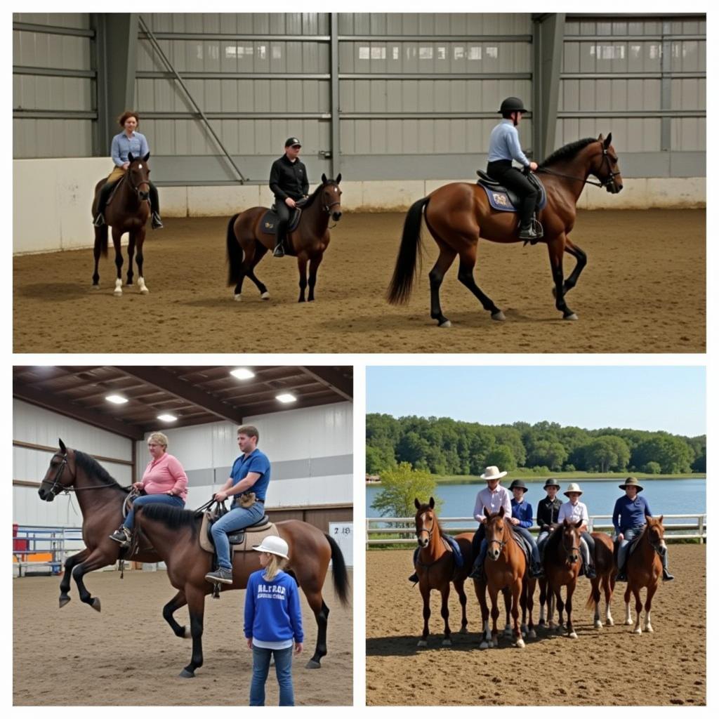 Diverse Equestrian Activities in Door County