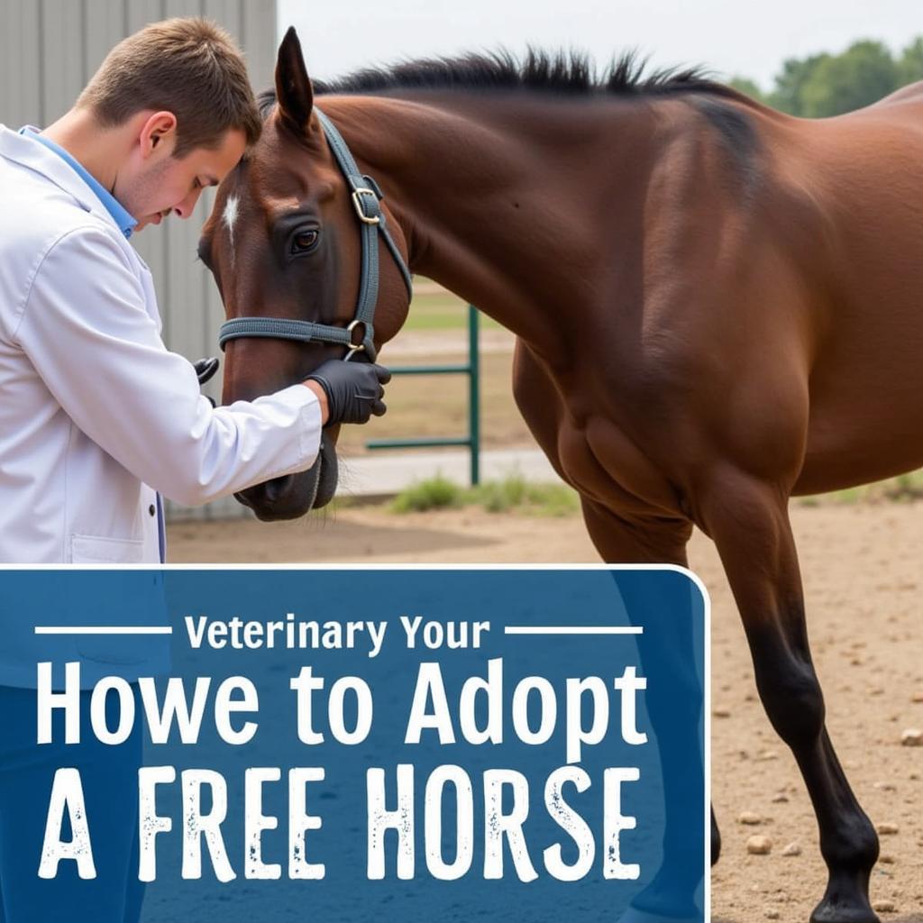 Evaluating a Free Horse's Health