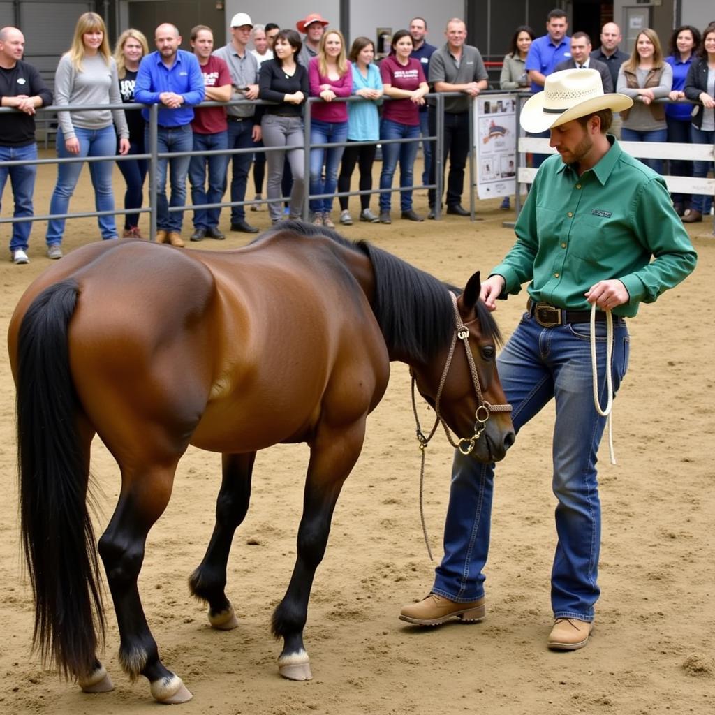 Frying Pan Horse Expo Educational Clinic