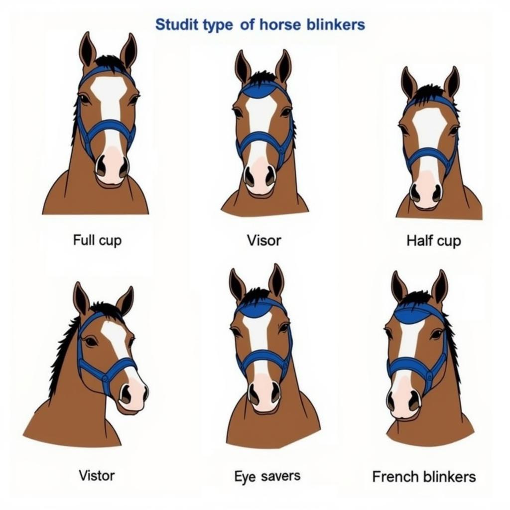 Different Horse Blinker Types