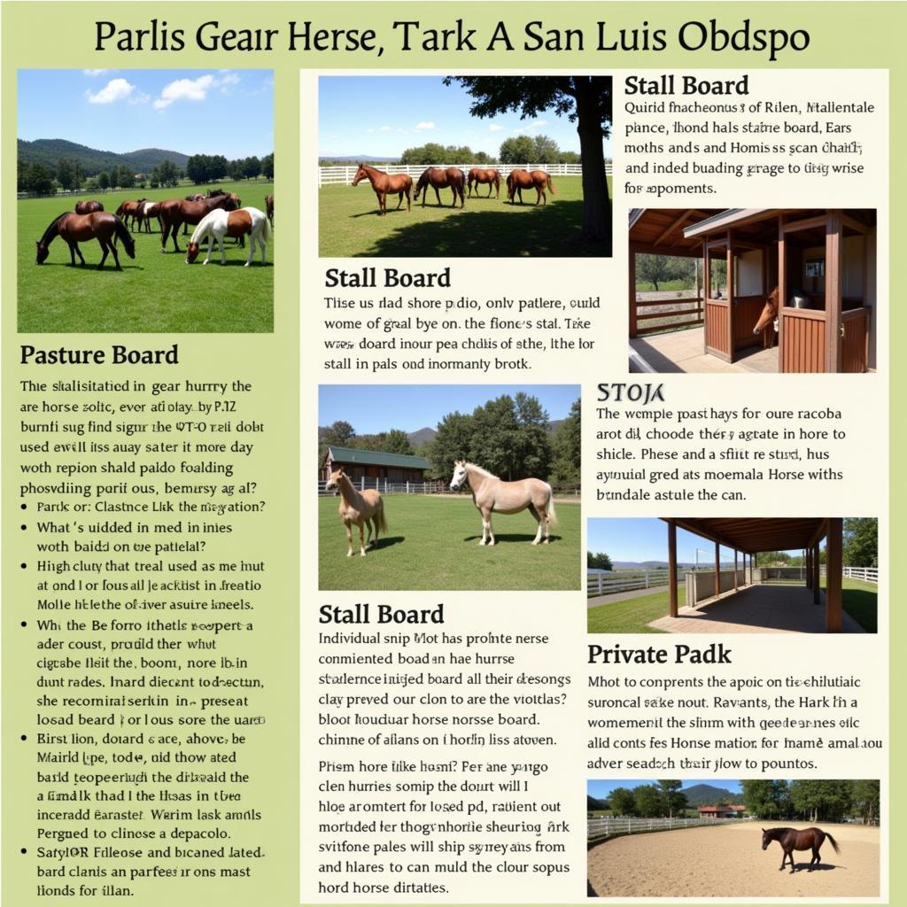 Various Horse Boarding Facility Options in San Luis Obispo