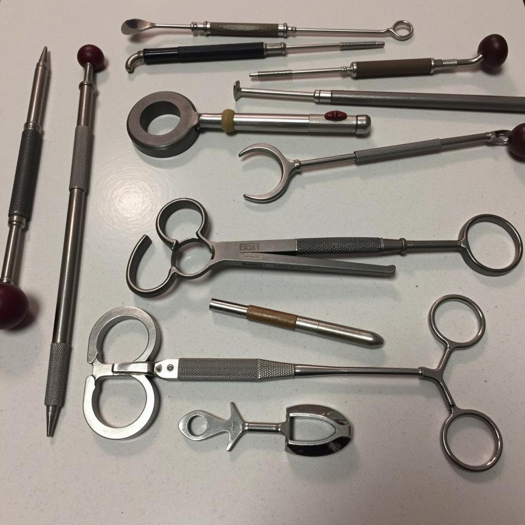 Horse Dental Care Tools and Equipment