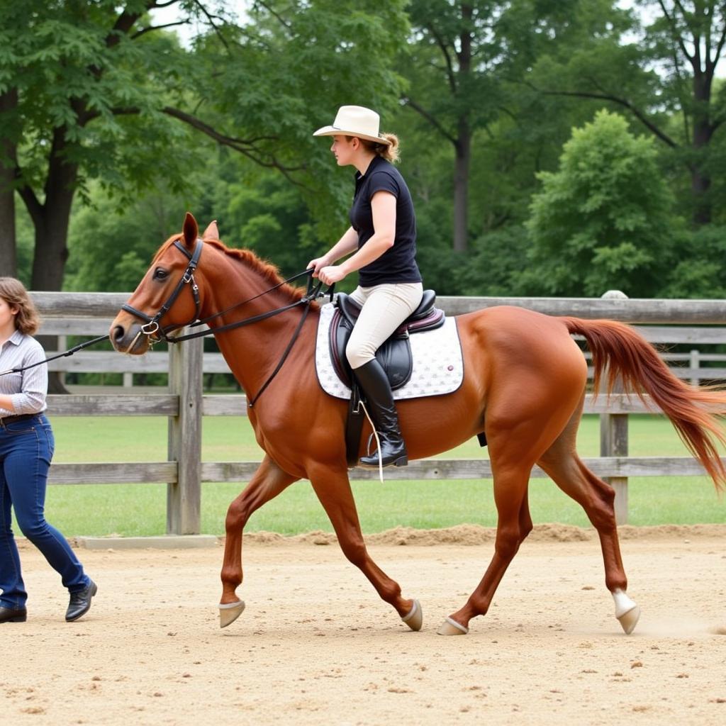 Horse Lunging with Cotton Line