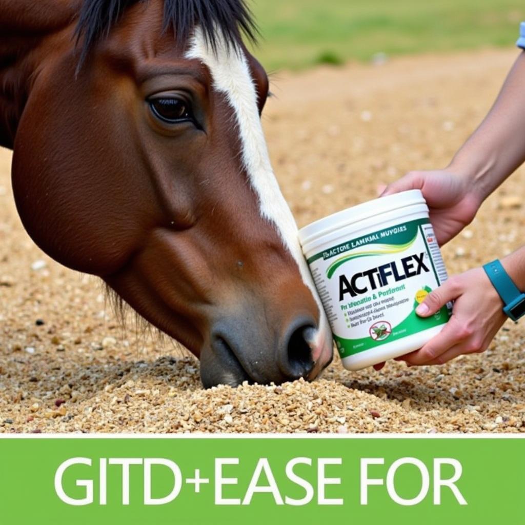 Horse Receiving Actiflex Supplement in Feed