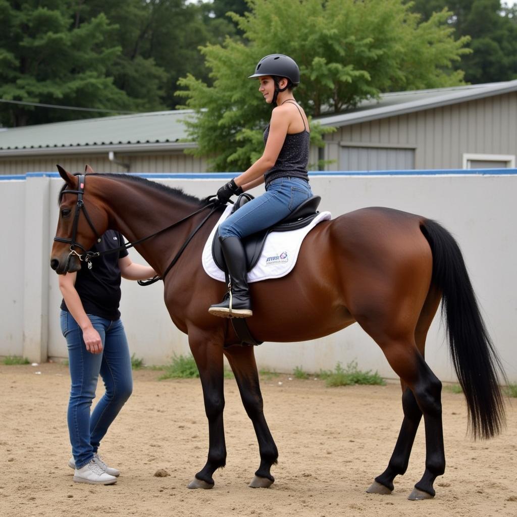 Horse Riding Lessons in Knoxville, TN