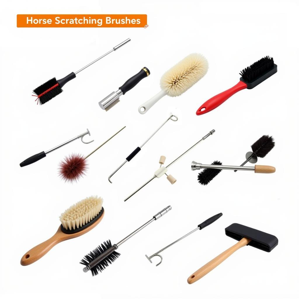 Various Types of Horse Scratching Brushes