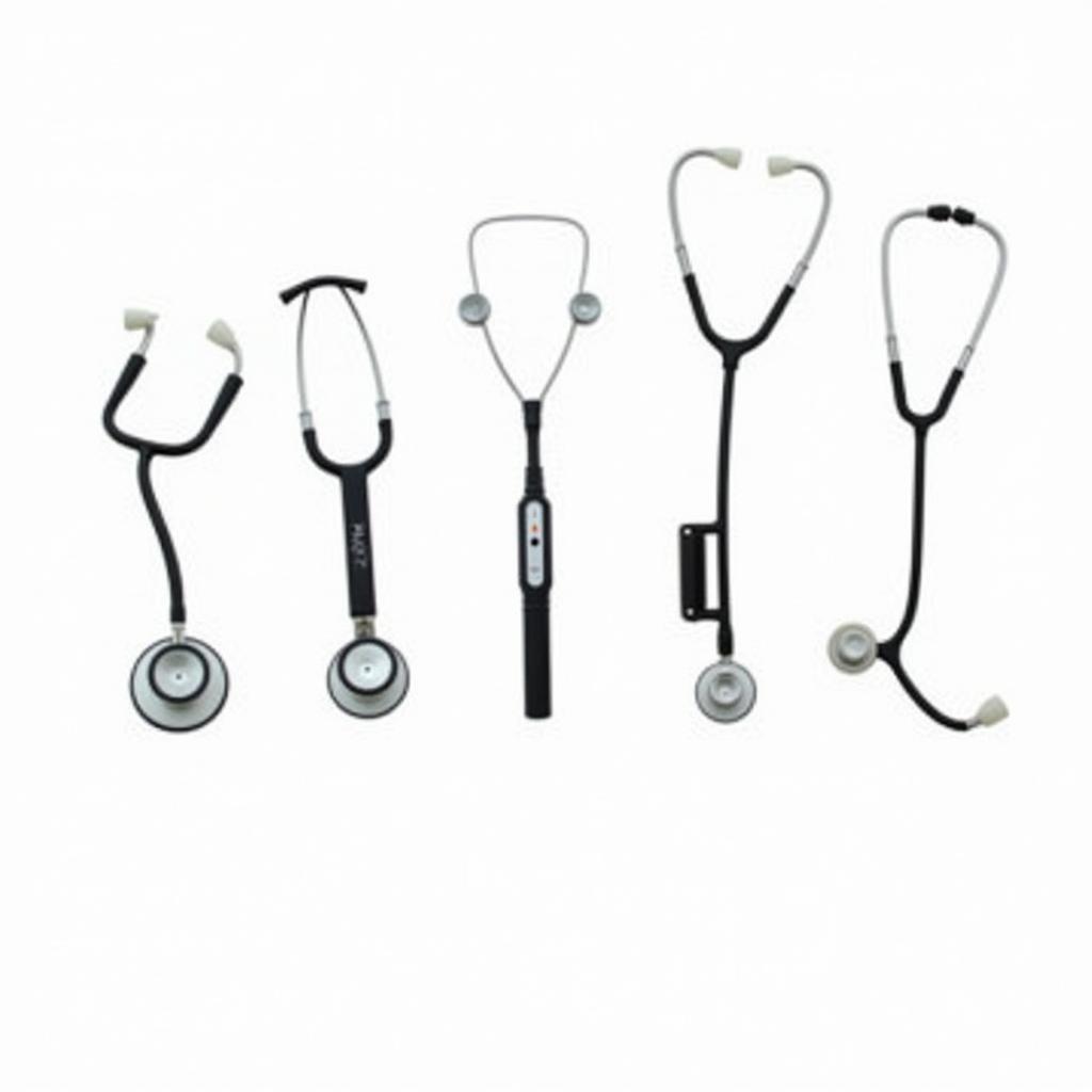 Different Types of Horse Stethoscopes