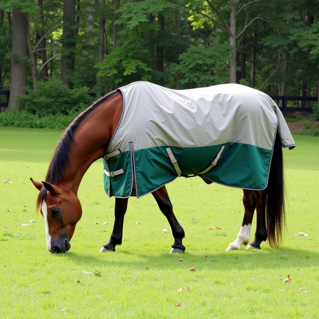 Horse Wearing a Fly Blanket in Pasture