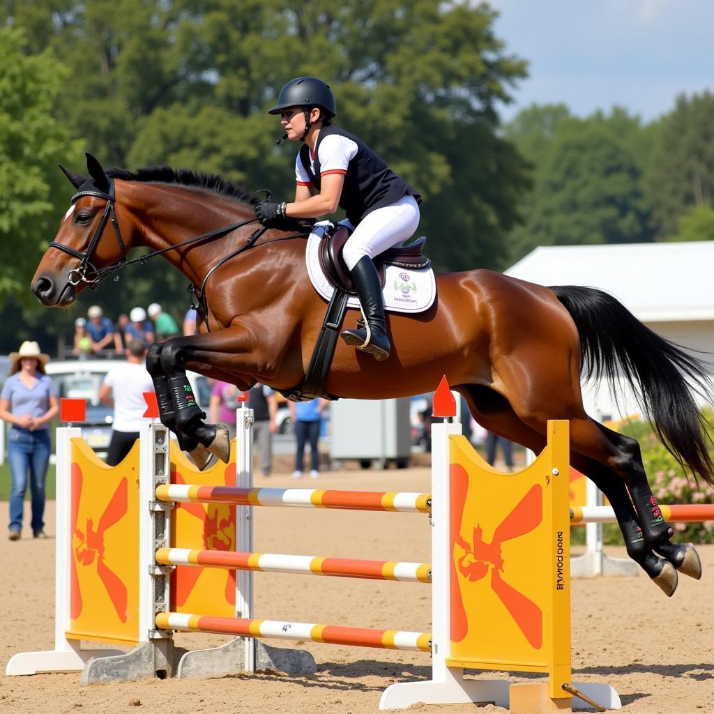 A horse leaping over a high jump in a show jumping competition