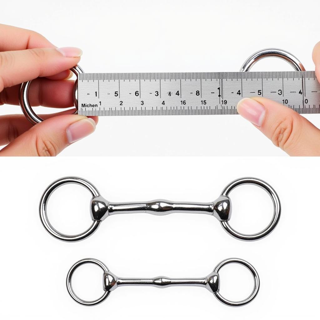 Measuring the width of a snaffle bit