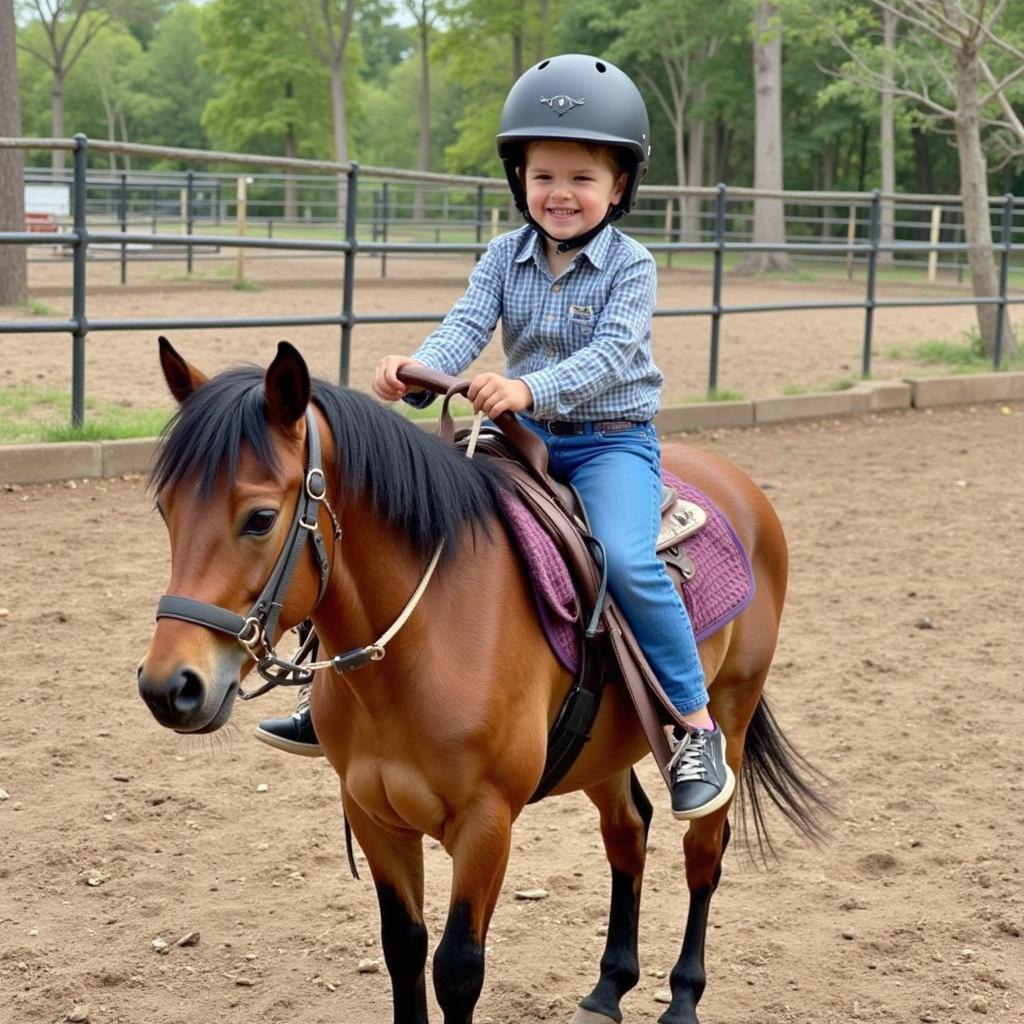 Child riding a miniature horse