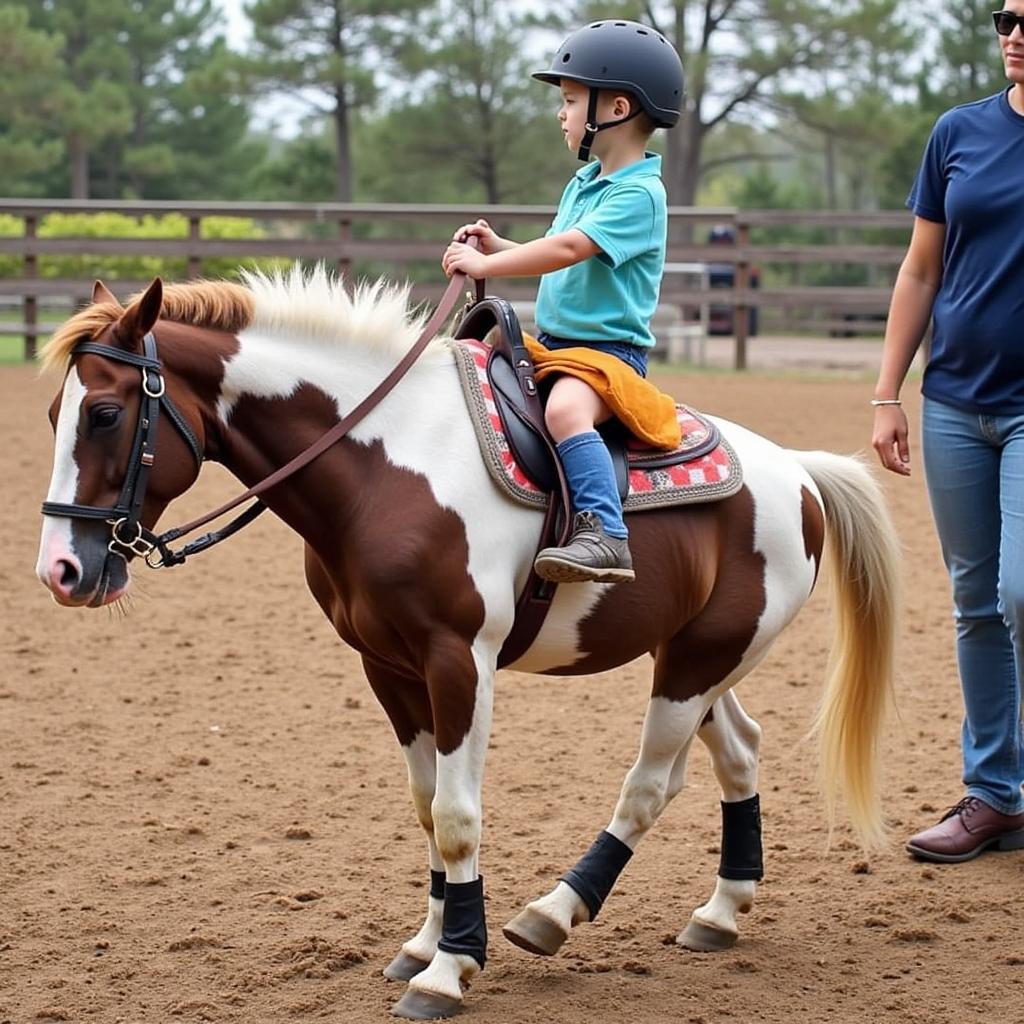 Child wearing a helmet and riding boots while riding a miniature horse.