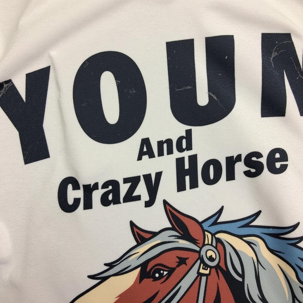 Vintage Neil Young and Crazy Horse T-Shirt