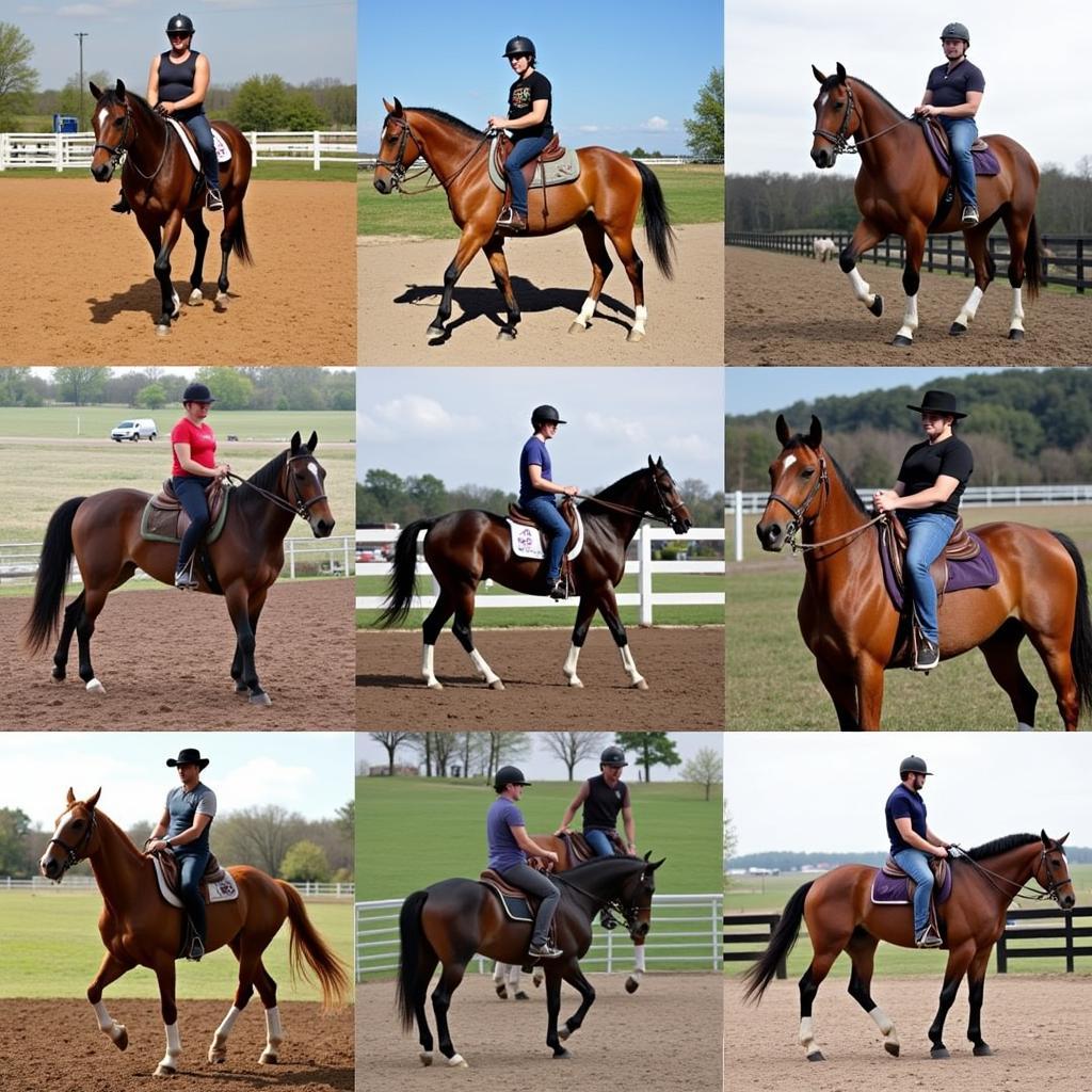 Omaha Horse Market: Diverse Breeds and Disciplines