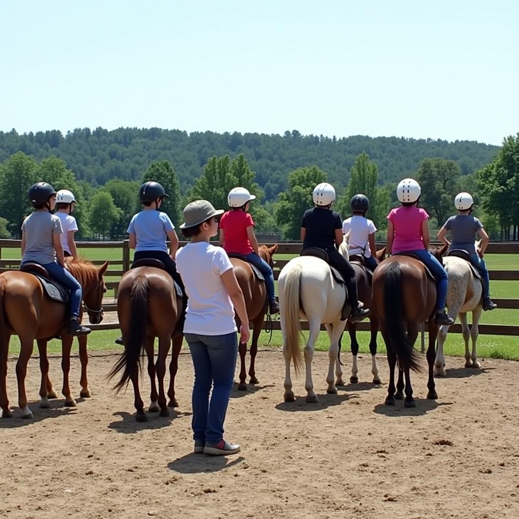 Otter Creek Horse Camp for Beginners