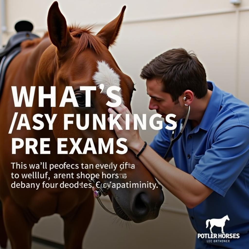 Pre-Purchase Vet Exam for a Gaming Horse