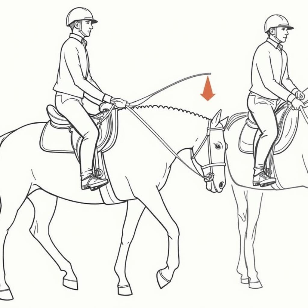 Correct Technique for Using Riding Crops