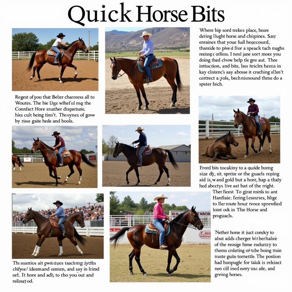 Quick Horse Bits in Different Disciplines