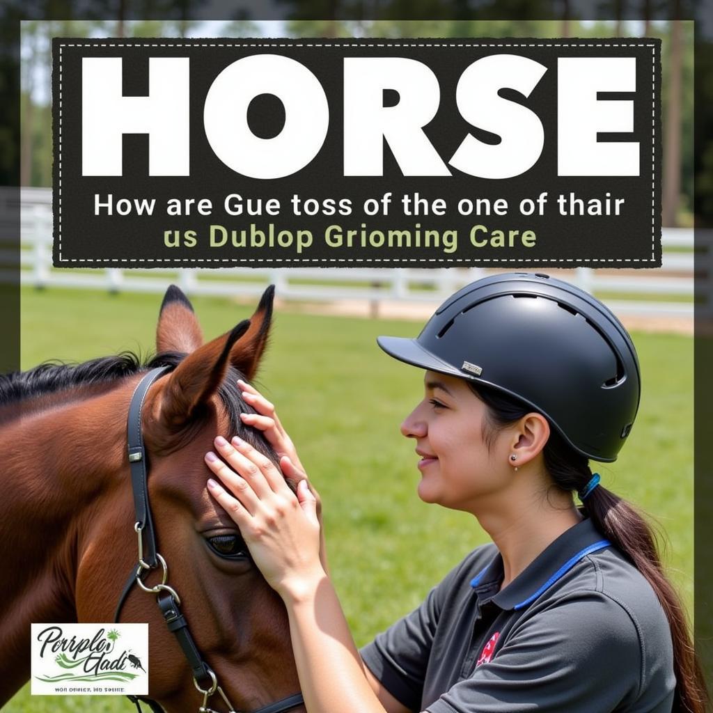 Promoting Responsible Horse Ownership