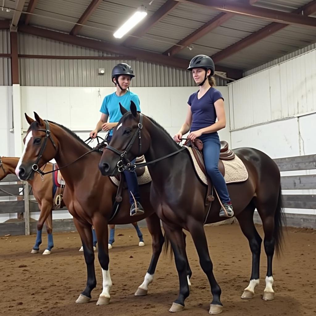 Safe Horse Riding Practices