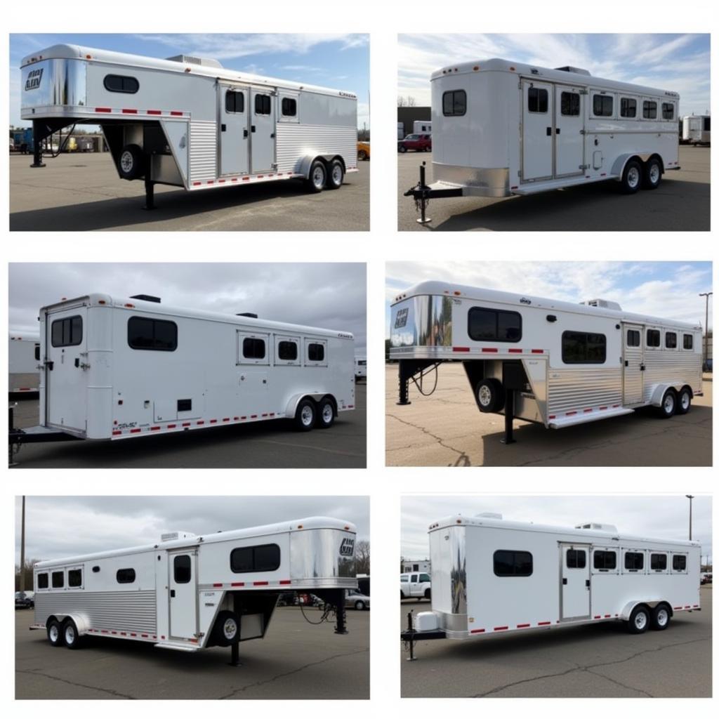 Used Calico Horse Trailers: Exploring Options