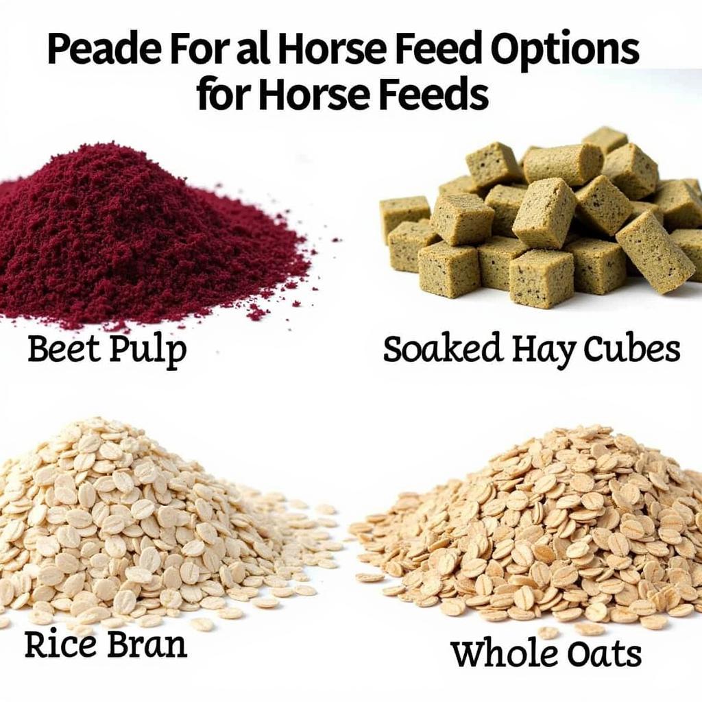 Various Horse Feed Options