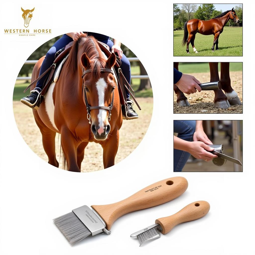 Westerner Horse Grooming and Care