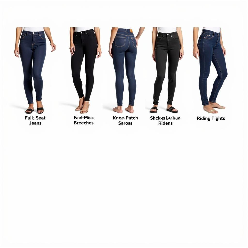 Different styles of women's riding jeans for various riding disciplines.