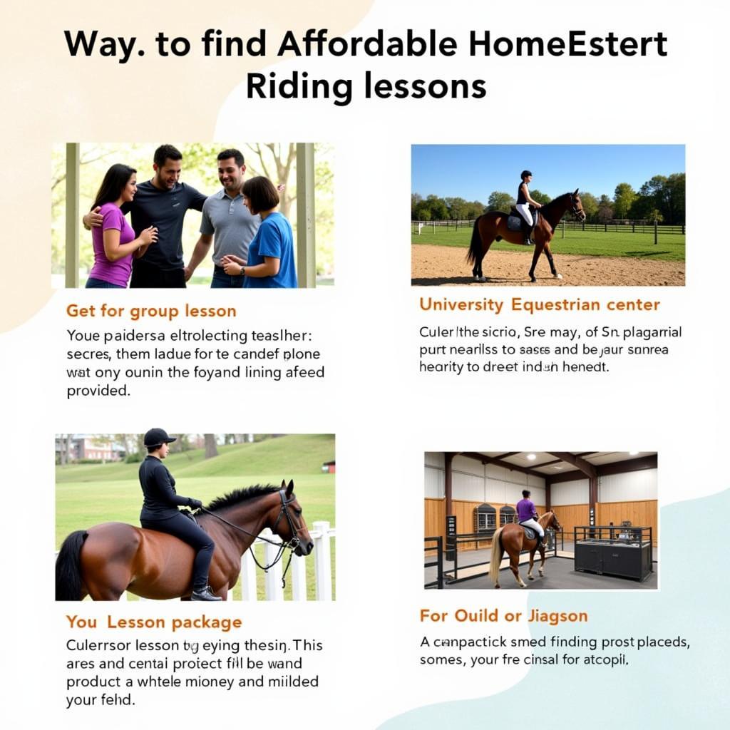 Affordable Horseback Riding Options