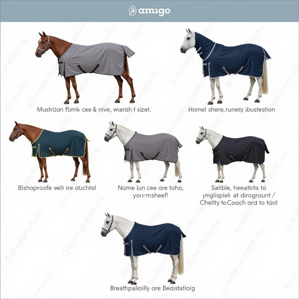 Different Types of Amigo Horse Sheets