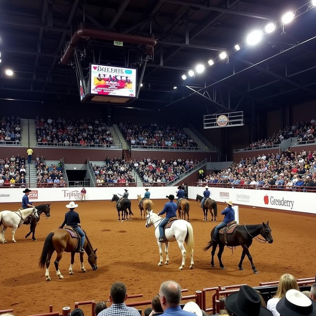 Breeders Classic Bucking Horse Sale Arena