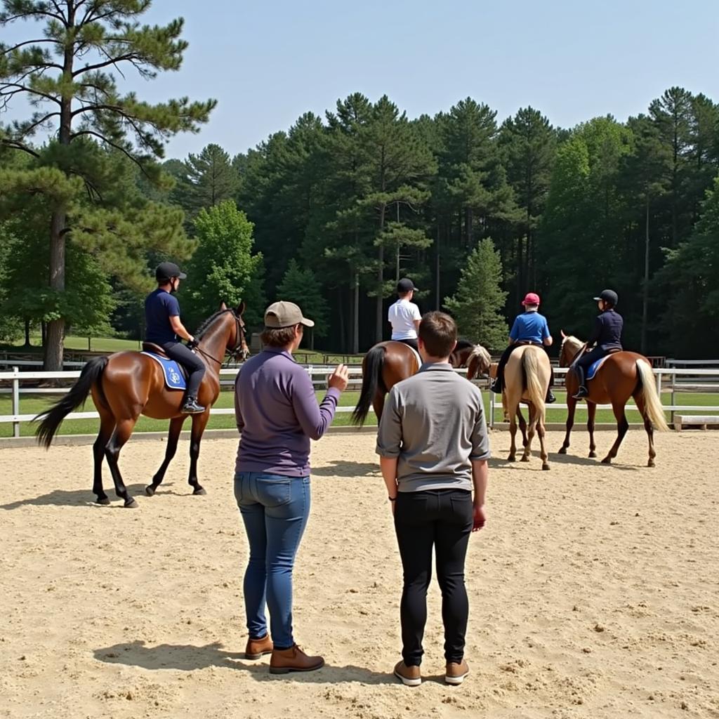 Dressage Clinic at Carolina Horse Park