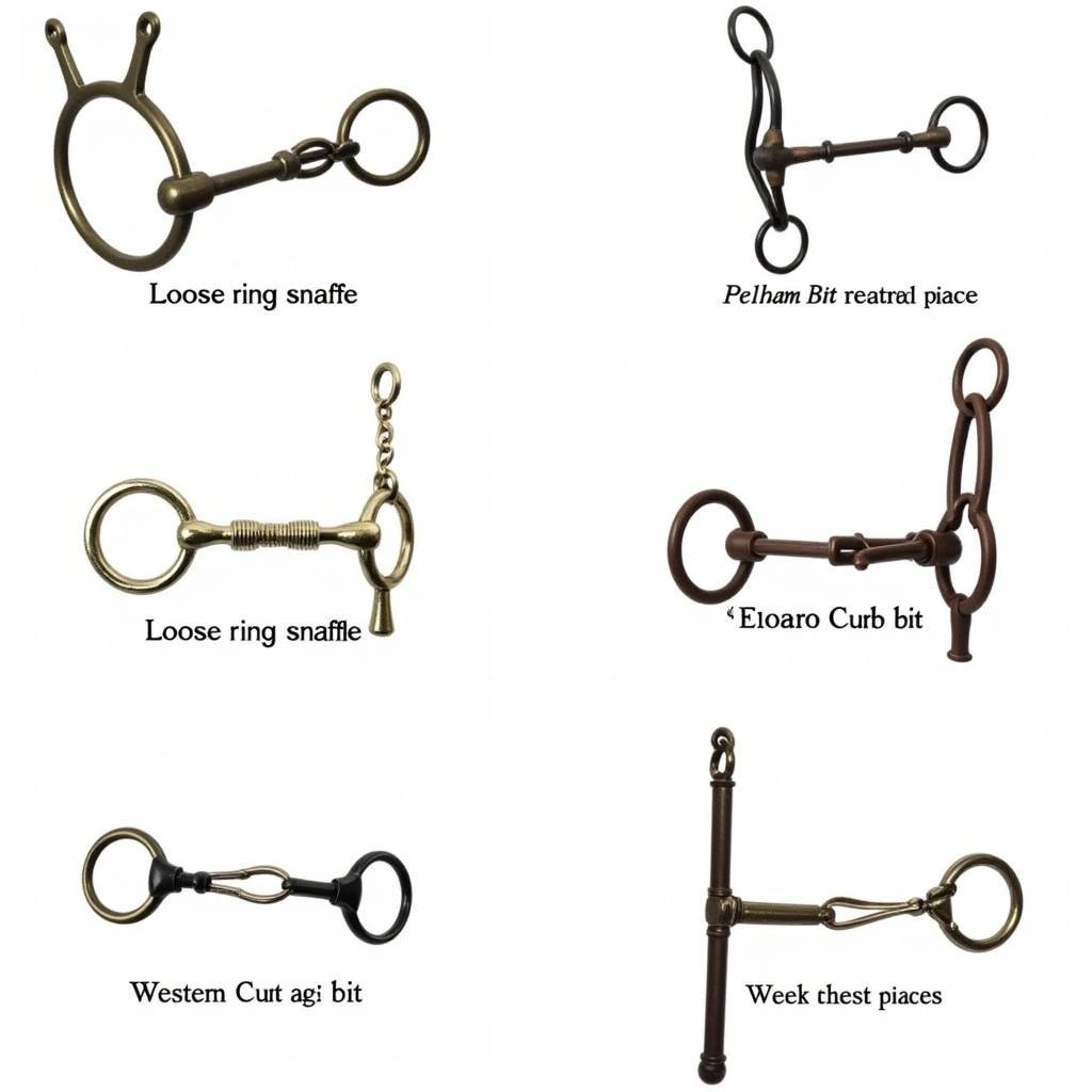 Various Types of Custom Horse Bits