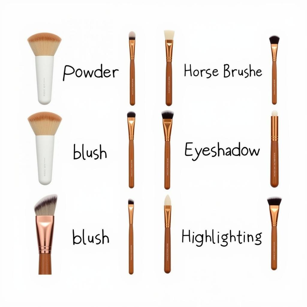 Different Types of Horse Hair Makeup Brushes